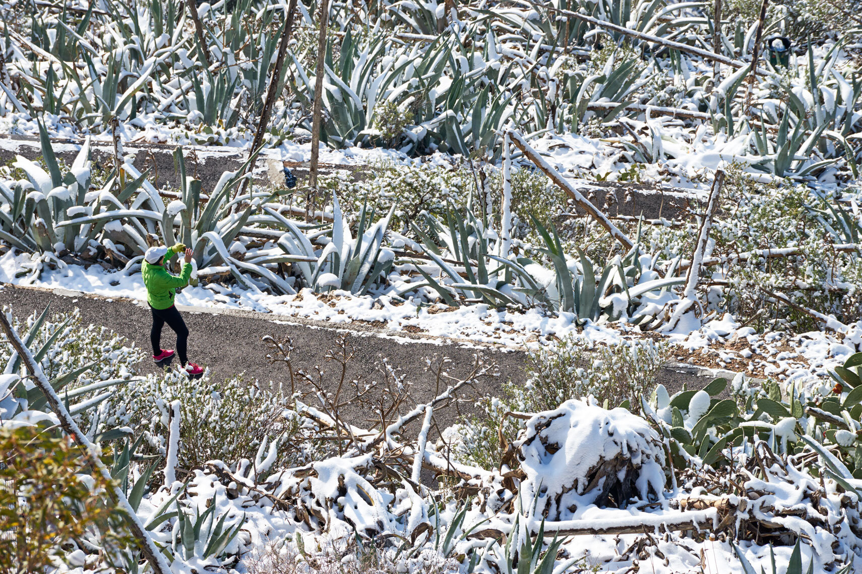 A lady walks up Lycabettus hill to see Athens in the snow