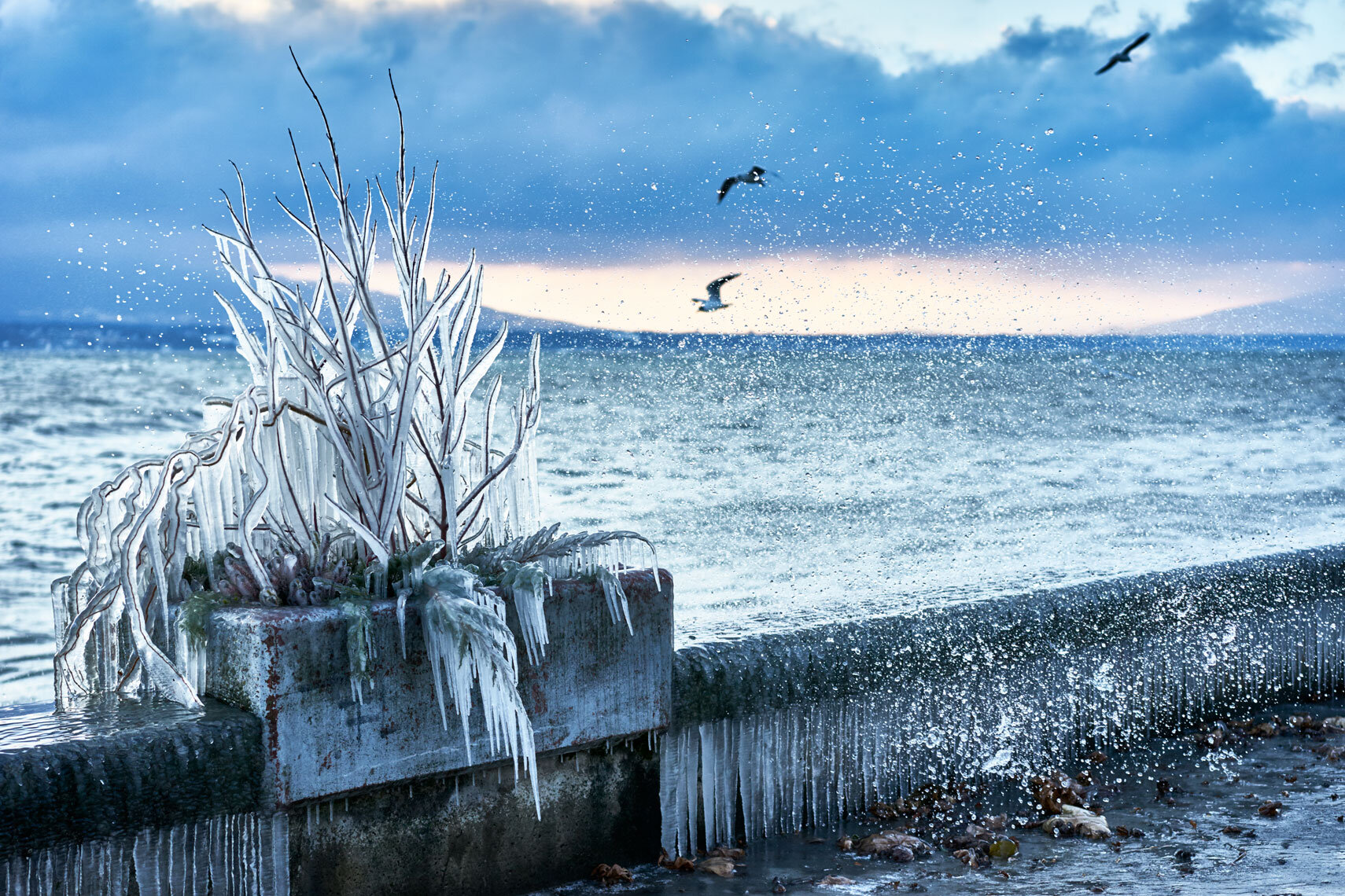 Ice cold - lake geneva in nyon