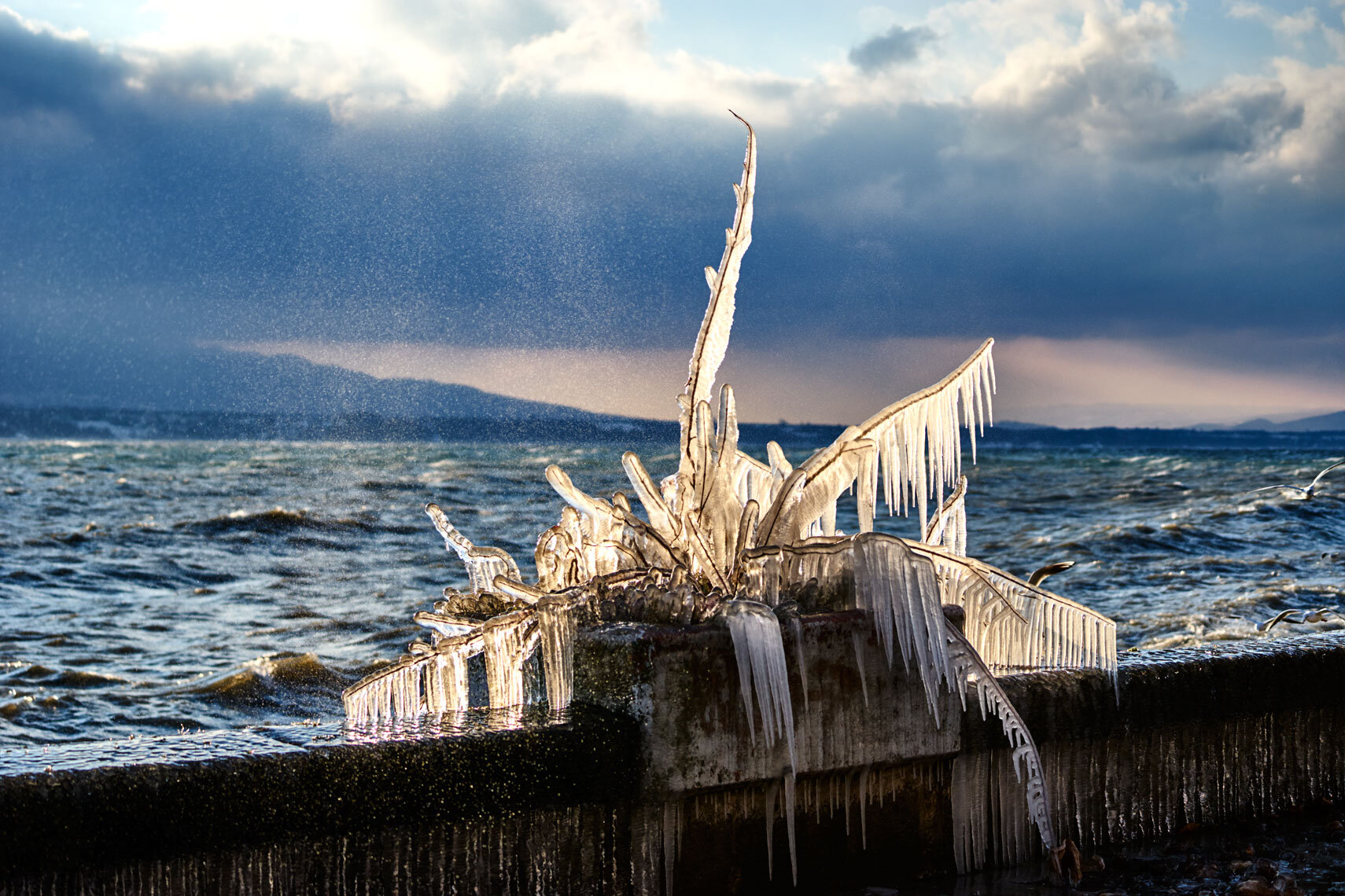 ice cold sunshine | winter in geneva