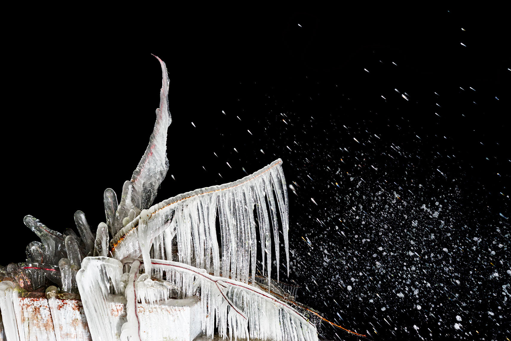 ice cold | frozen trees at night III